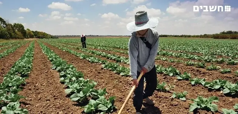 בית המשפט הכריע – האם עובדים זרים זכאים לנקודות זיכוי במס הכנסה?